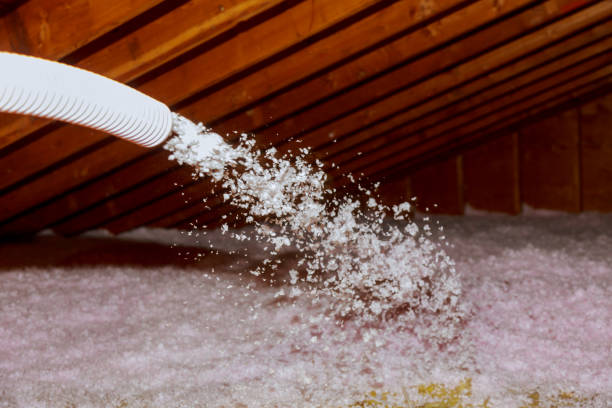 Best Insulation Maintenance and Repair in Frankfort, OH