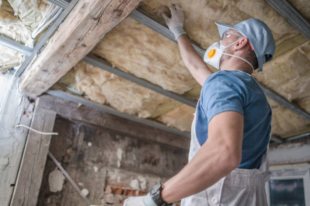 Professional Insulation Contractor in Frankfort, OH