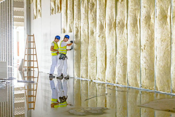 Best Cellulose Insulation in Frankfort, OH